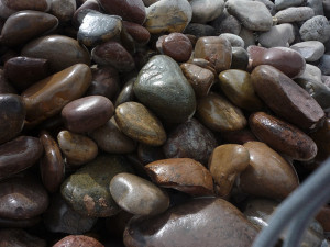 ariozona decorative rock 4-6