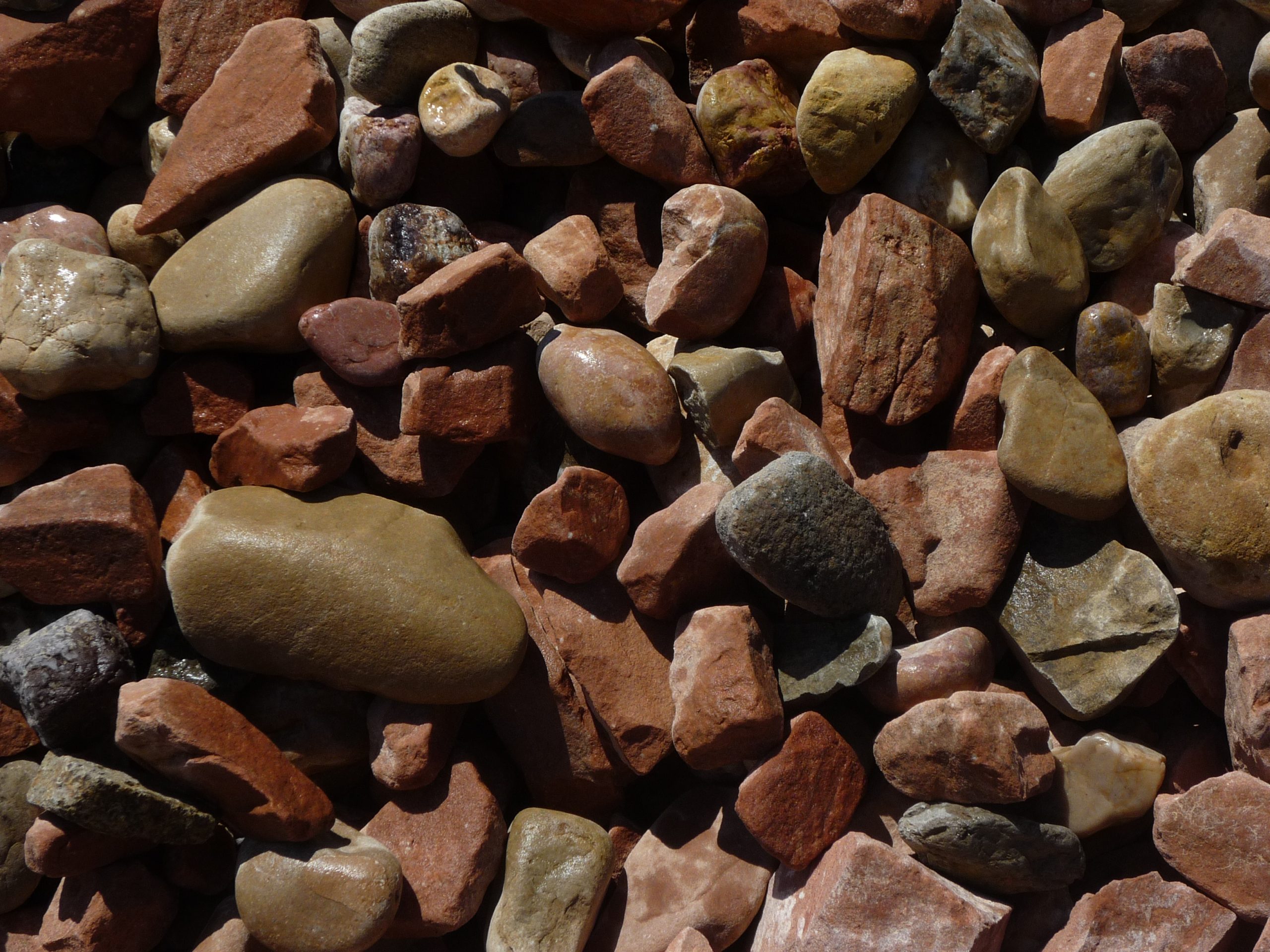 Featured image for “Four Seasons”