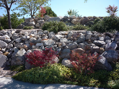 Natural Rock used for landscaping design