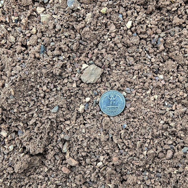 Featured image for “Infield Mix”