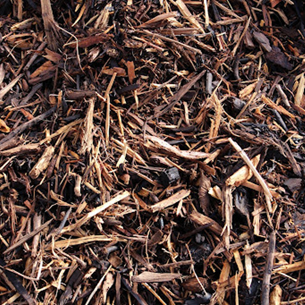 Featured image for “Natural Bark”