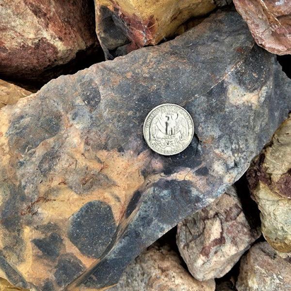 Featured image for “Painted Desert 2-6””