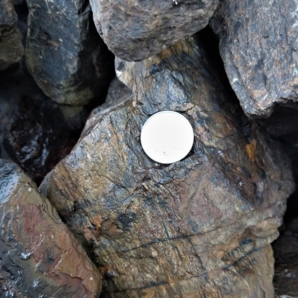 Featured image for “Stonebark Large”