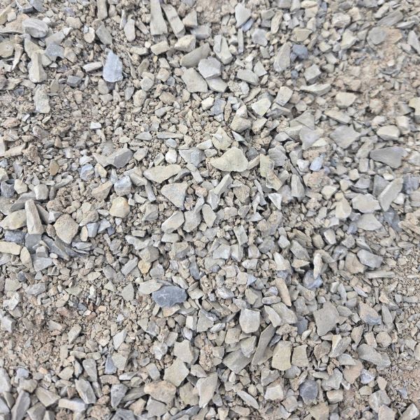 Featured image for “Monsoon Gray Chat”