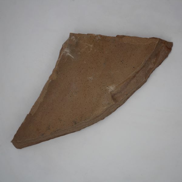 Flagstone Buckskin